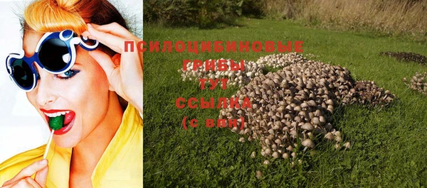 прущие крисы Алзамай