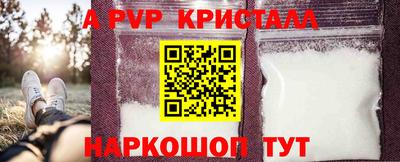 хмурый Кингисепп