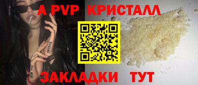 хмурый Кингисепп