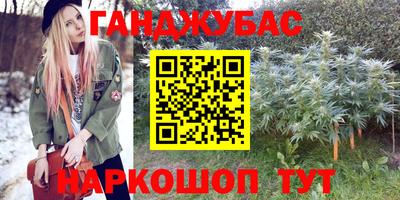 хмурый Кингисепп