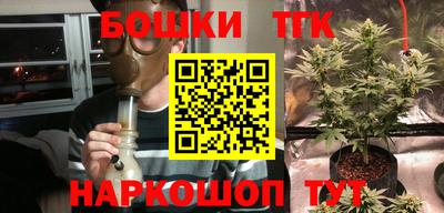 хмурый Кингисепп