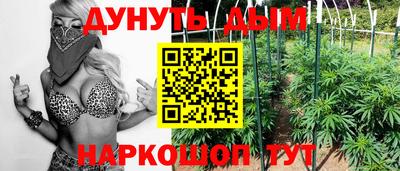 хмурый Кингисепп