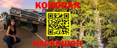 хмурый Кингисепп