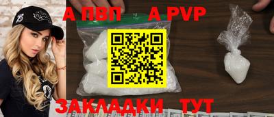 хмурый Кингисепп