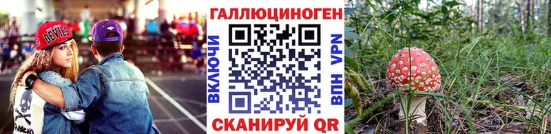 Псилоцибиновые грибы Psilocybine cubensis Ставрополь