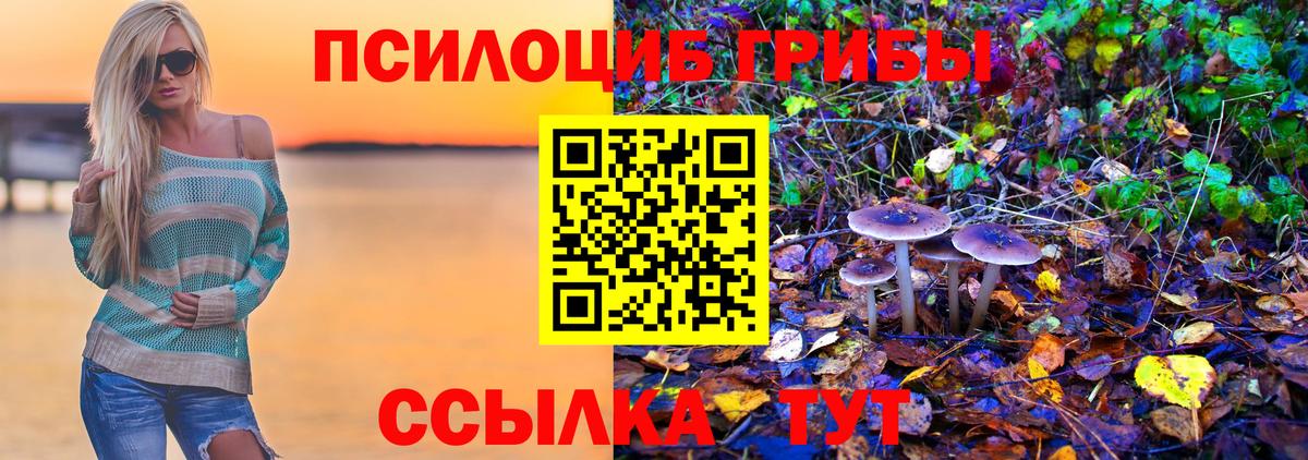 Псилоцибиновые грибы Cubensis Ставрополь