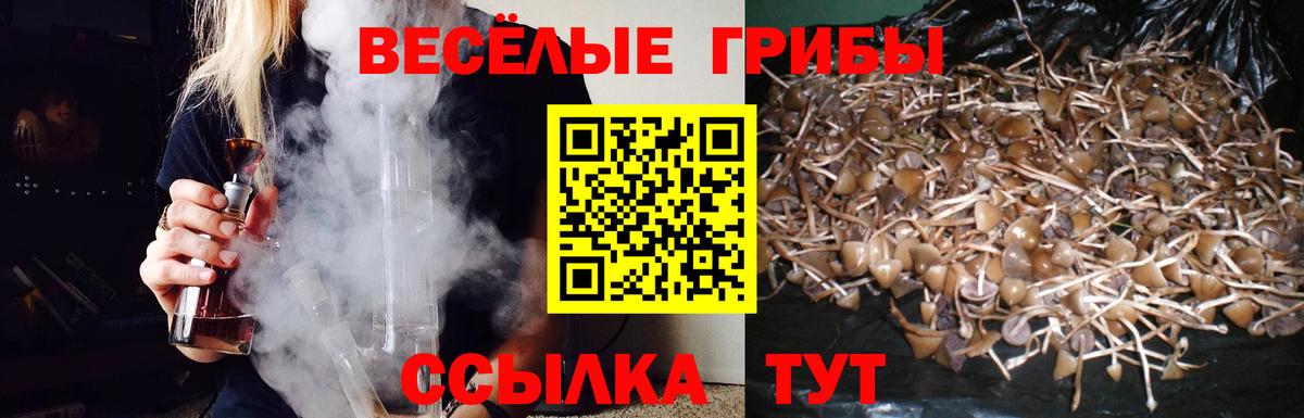 Псилоцибиновые грибы Cubensis  Вход с VPN  где купить   Псилоцибиновые грибы GOLDEN TEACHER  Ставрополь 
