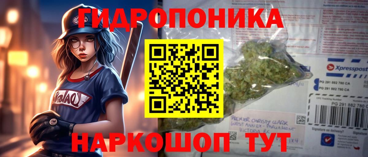 Бошки Шишки гибрид Ставрополь